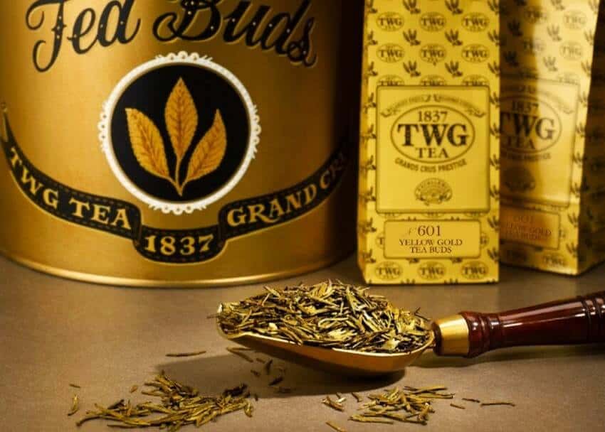 TWG黄金茶芽
