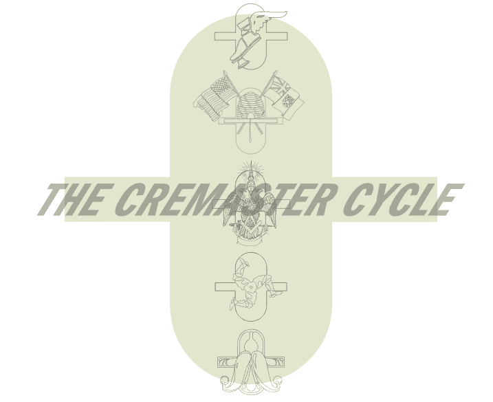 克里马斯特循环