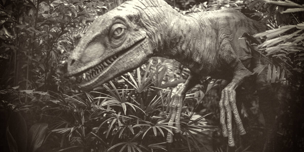 欧宝平台注册罕见的恐龙
