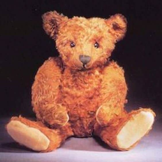 泰迪女孩熊